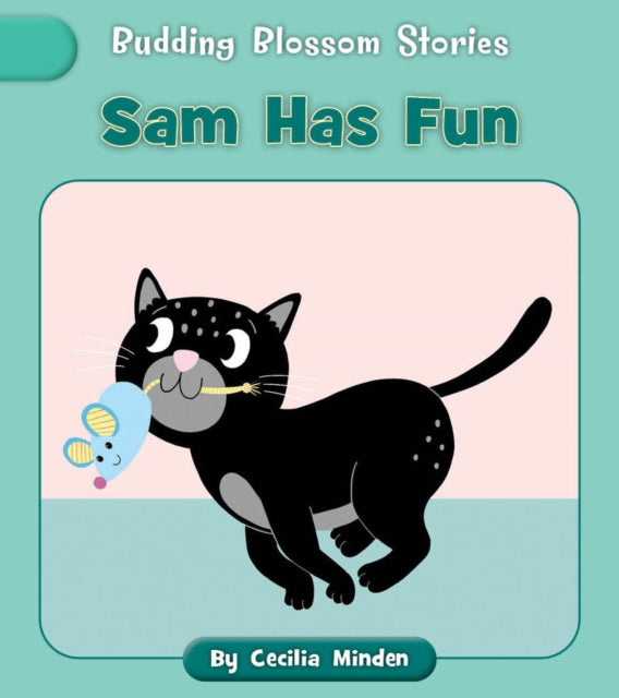 Sam Has Fun cover
