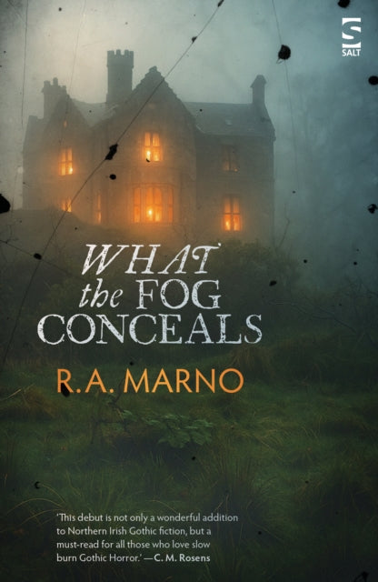 What the Fog Conceals cover