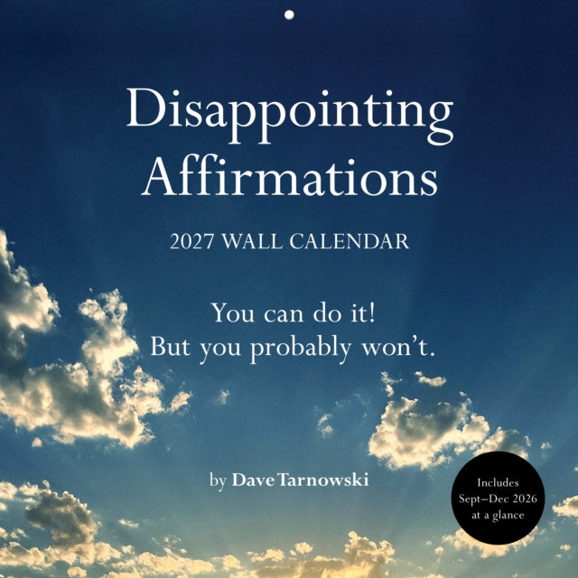 Disappointing Affirmations 2027 Wall Calendar cover