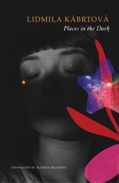 Places in the Dark cover
