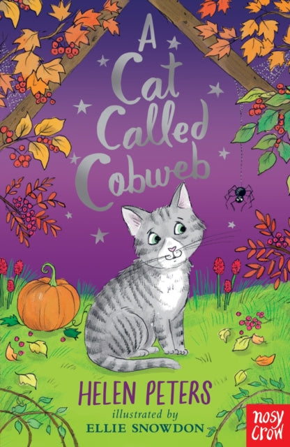 A Cat Called Cobweb cover