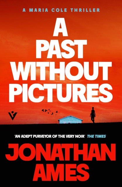 A Past Without Pictures cover