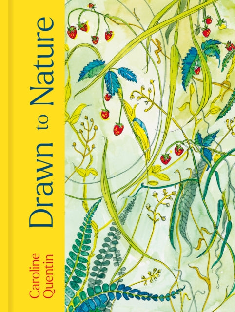 Drawn to Nature cover
