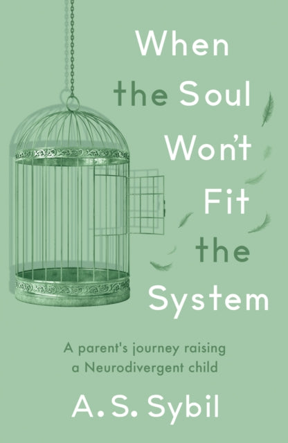 When the Soul Won’t Fit the System cover