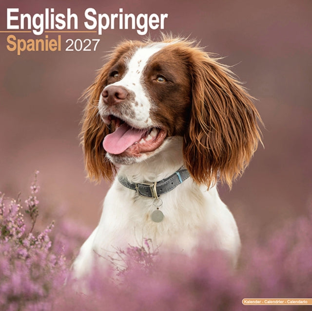 English Springer Spaniel Wall cover