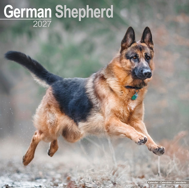 German Shepherds Wall cover