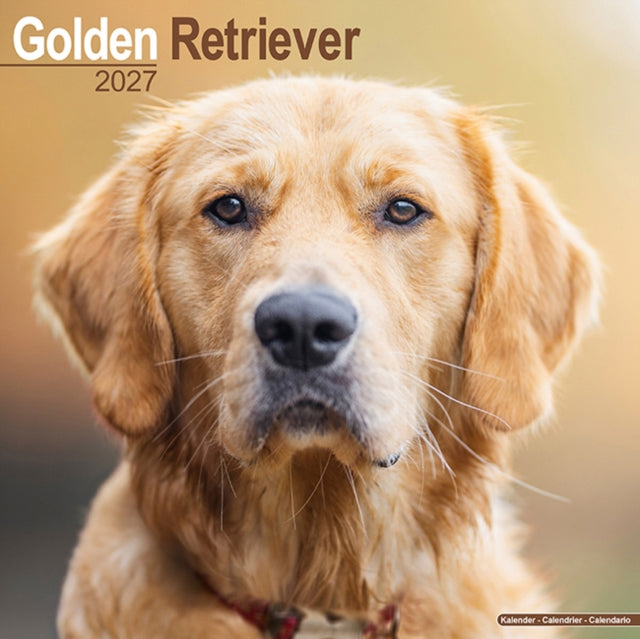 Golden Retriever Wall cover