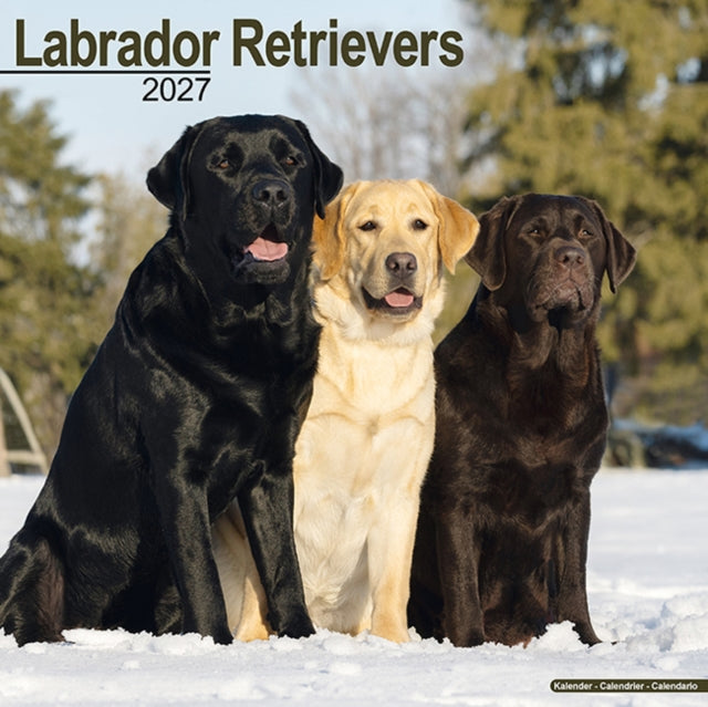 Labrador Retrievers Wall cover