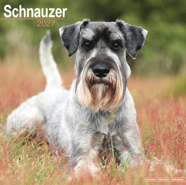 Schnauzers Wall cover