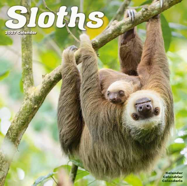 Sloths Wall cover