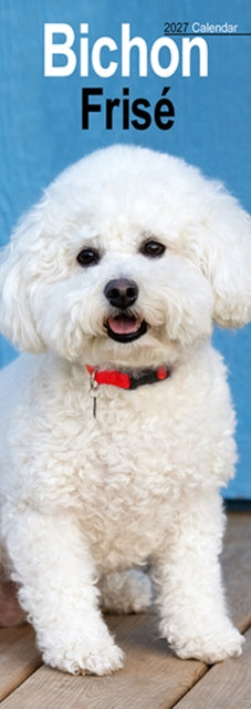 Bichon Frise Slim cover