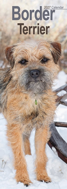Border Terrier Slim cover