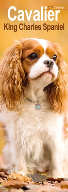 Cavalier King Charles Spaniel Slim cover