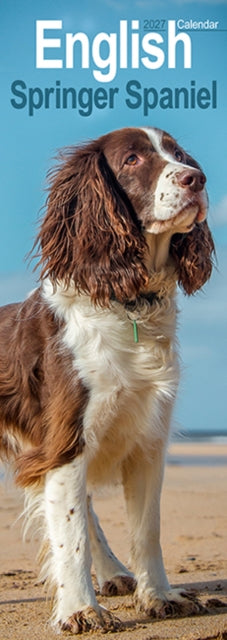 English Springer Spaniel Slim cover