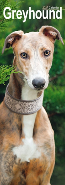 Greyhound Slim cover