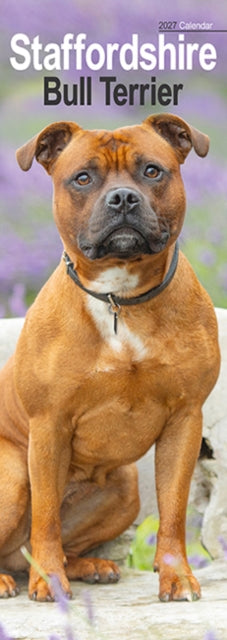 Staffordshire Bull Terrier Slim cover