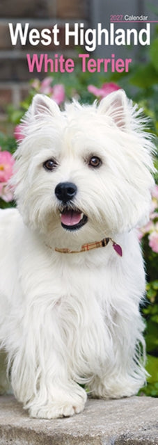 West Highland White Terrier Slim cover