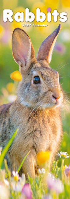 Rabbits Slim cover