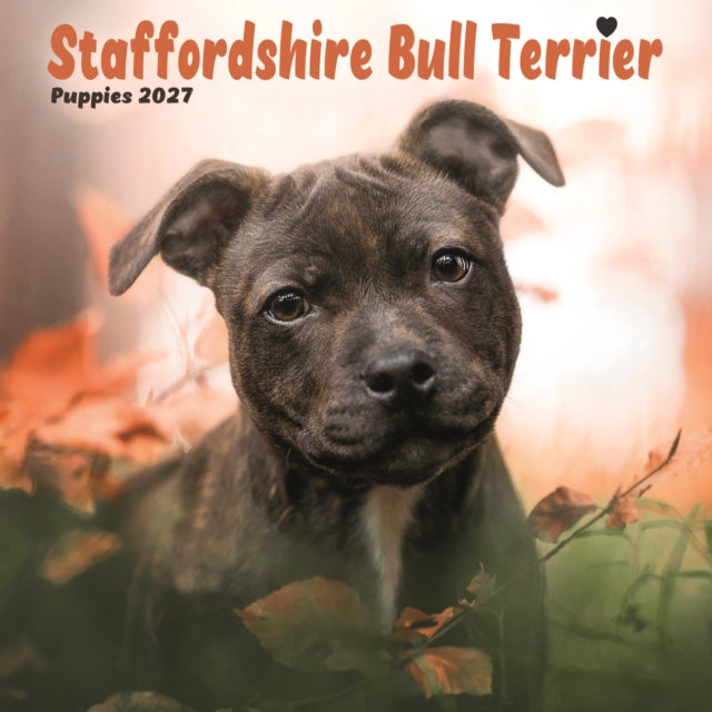 Staffordshire Bull Terrier Puppies Mini cover