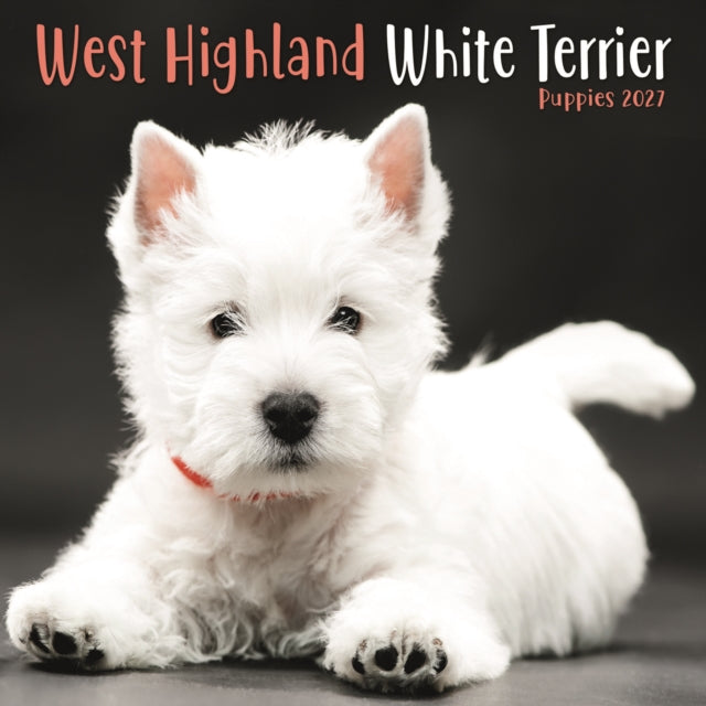 West Highland White Terrier Puppies Mini cover
