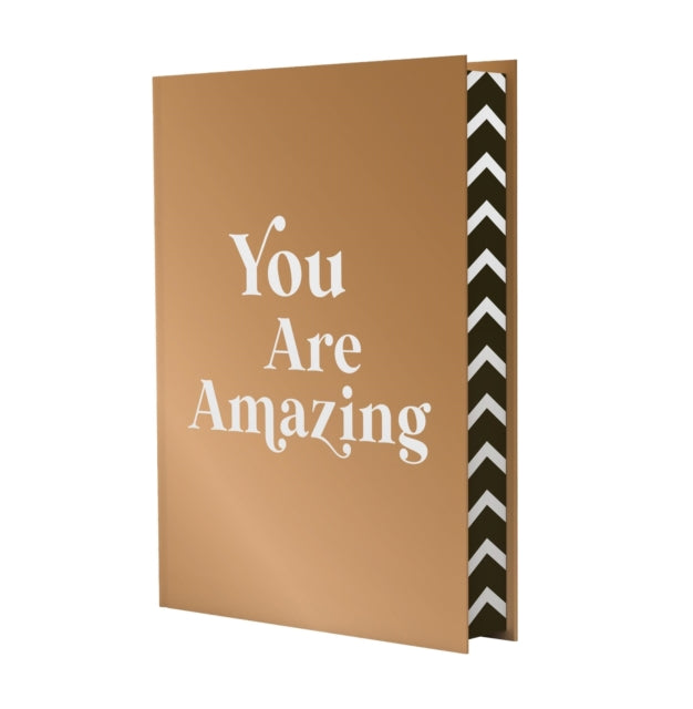 You Are Amazing cover