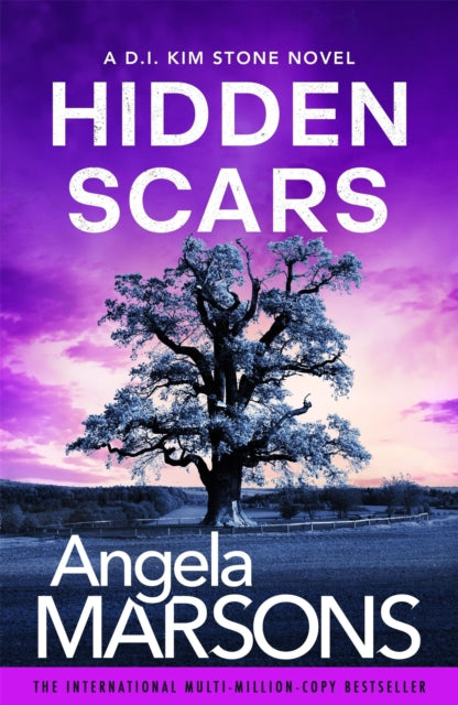 Hidden Scars cover