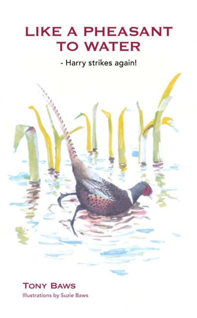 Like a Pheasant to Water cover