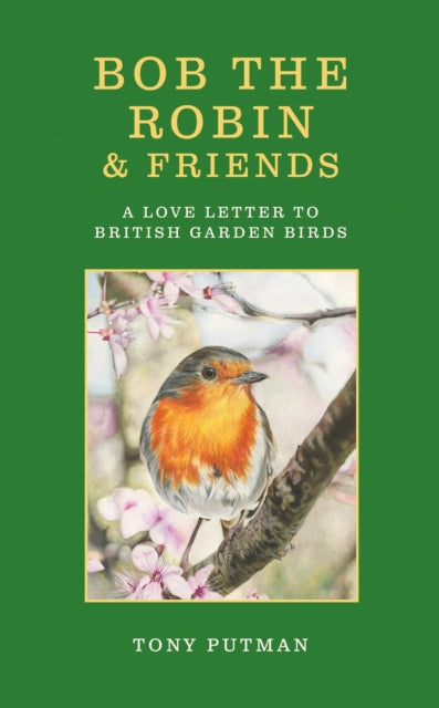 Bob the Robin & Friends cover