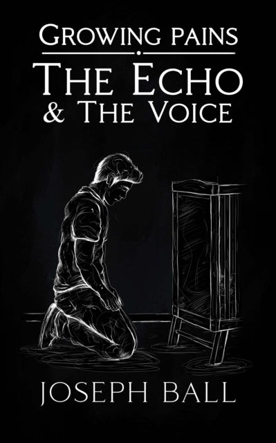The Echo And The Voice cover