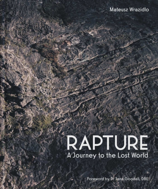Rapture cover