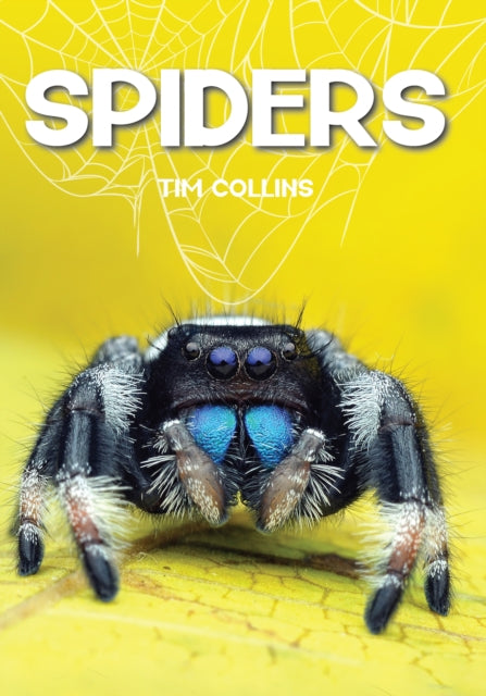 Spiders cover