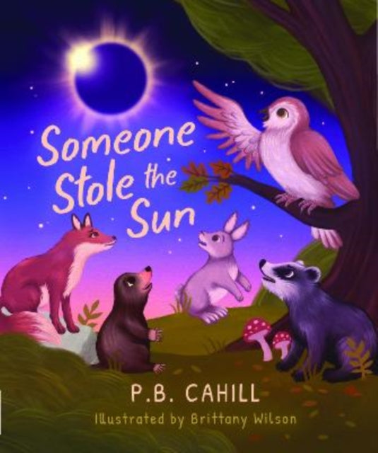 Someone Stole the Sun cover