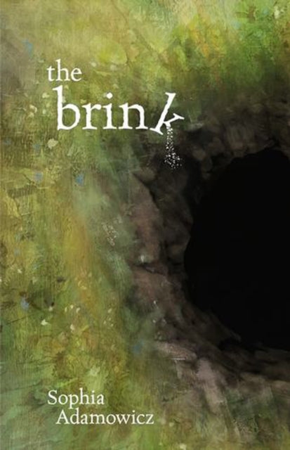 The Brink cover