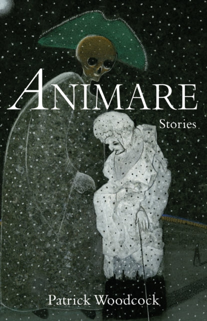 Animare cover