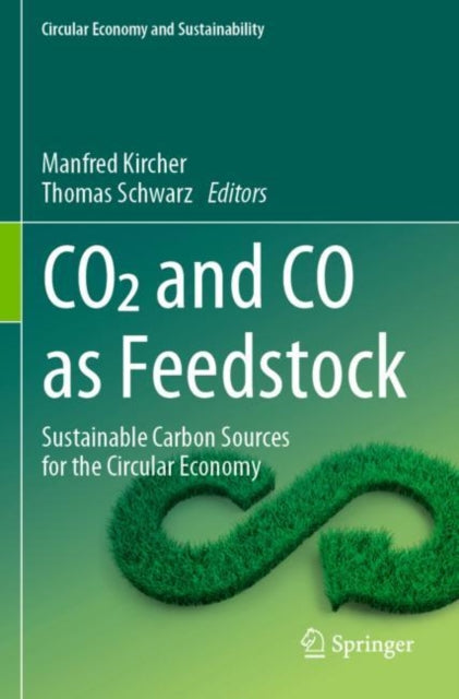 Co2 Und Co  Nachhaltige Kohlenstoffquellen Für Die Kreislaufwirtschaft cover