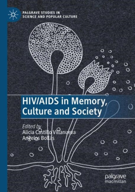 HIV/AIDS in Memory, Culture and Society cover