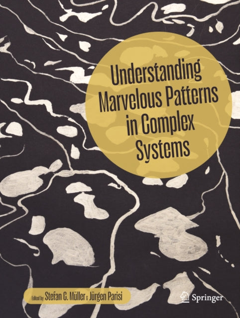 Understanding Marvelous Patterns in Complex Systems cover