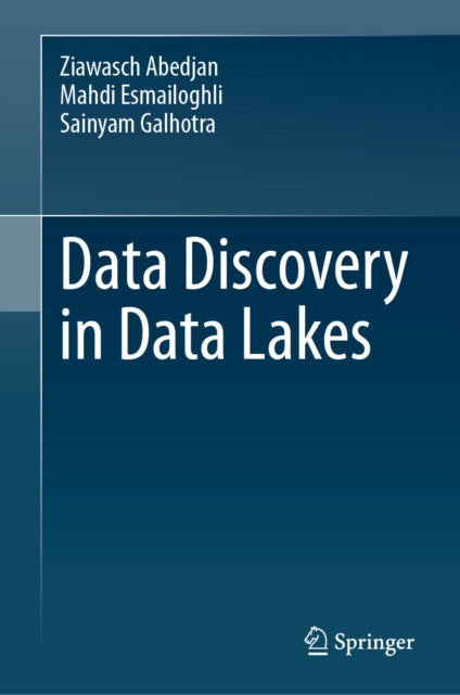 Data Discovery in Data Lakes cover