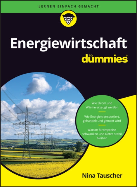 Energiewirtschaft fur Dummies cover