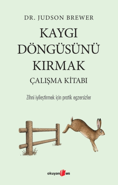Kaygi D?ng?s?n? Kirmak ?alisma Kitabi cover