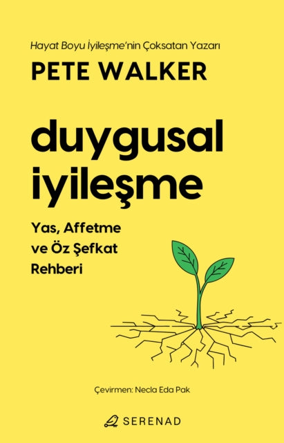 Duygusal Iyilesme cover