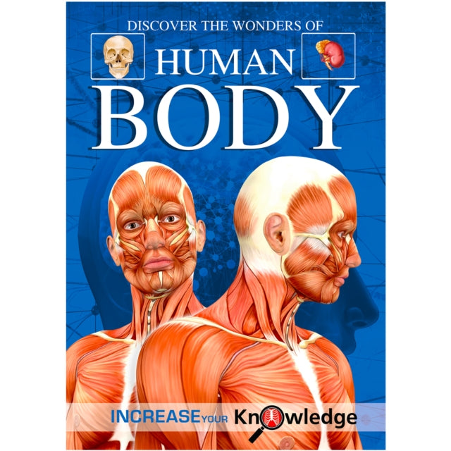 Discover The Wonders Of The Human Body: Explore The Marvels Within You cover