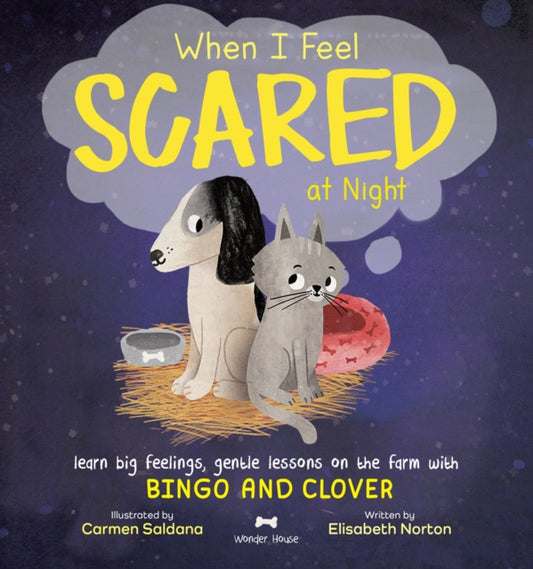 When I Feel Scared at Night cover
