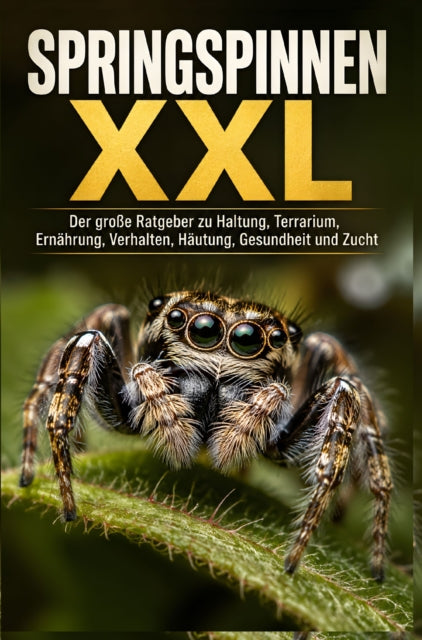 Springspinnen XXL cover