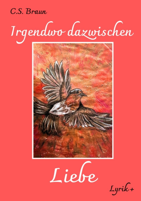 Irgendwo dazwischen Liebe cover