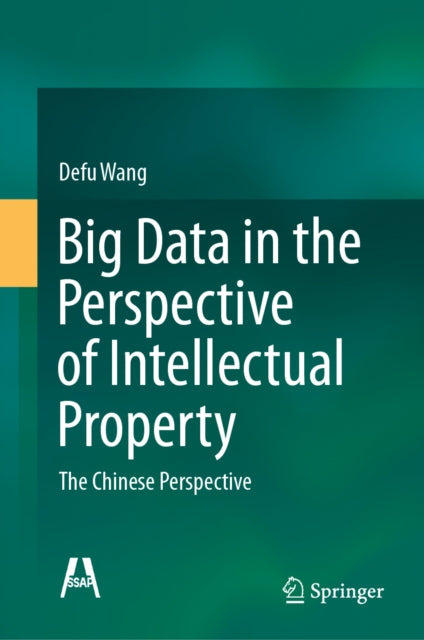 Big Data in the Perspective of Intellectual Property cover