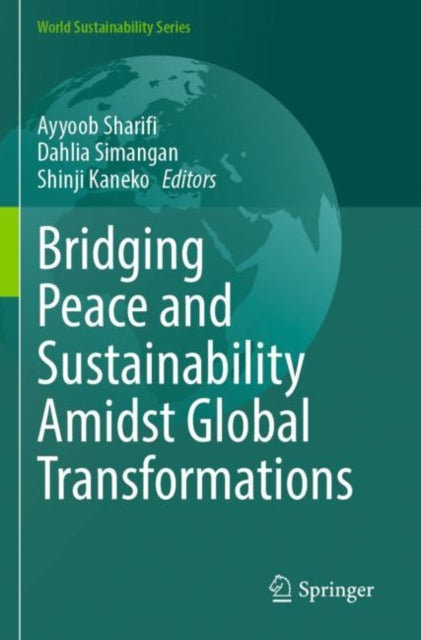 Bridging Peace and Sustainability Amidst Global Transformations cover