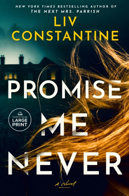 Promise Me Never cover