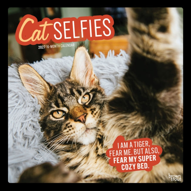 Cat Selfies | 2027 12 x 24 Inch (Hanging) Monthly Square Wall Calendar | Plastic-Free | BrownTrout | Pet Humor Kitten Feline cover