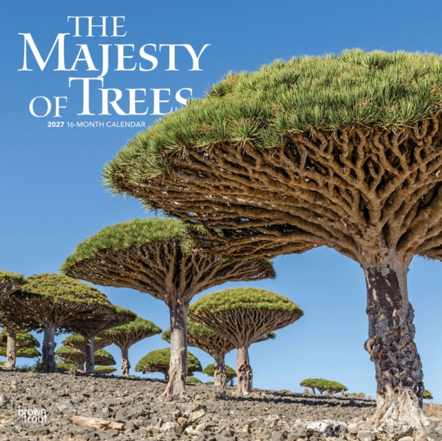 The Majesty of Trees 2027 12 X 24 Inch (Hanging) Monthly Square Wall Calendar Plastic-Free cover